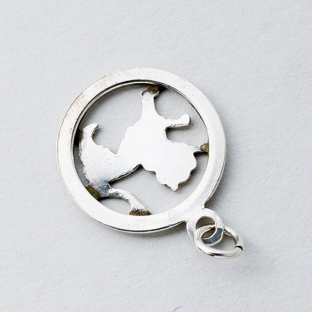 Silber Anhänger Kettenanhänger Löwe 0,82 g4