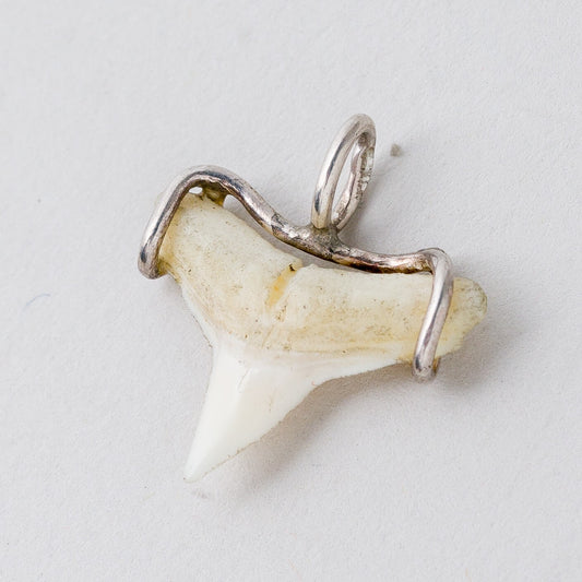 Anhänger Silber 925 Haizahn 1,9 cm 0,9 g0
