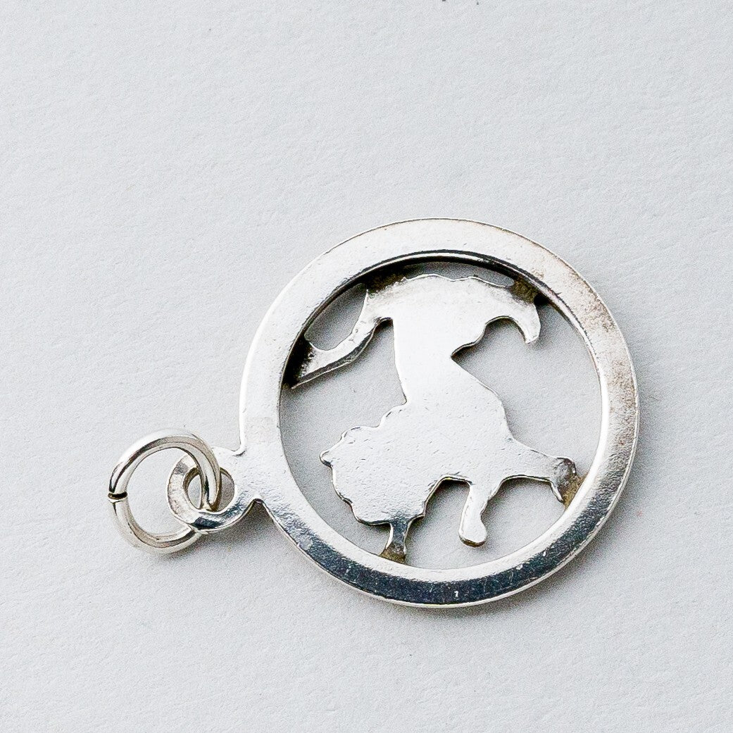 Silber Anhänger Kettenanhänger Löwe 0,82 g5