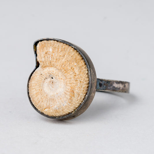 Ring Fossil 6,16 g 925er Silber Größe 53 (16,8 mm Ø)0