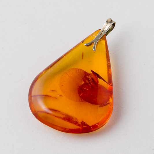 Anhänger Bernstein 11,88 g 5,6 cm0