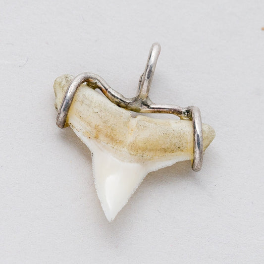 Anhänger Silber 925 Haizahn 1,9 cm 0,93 g0